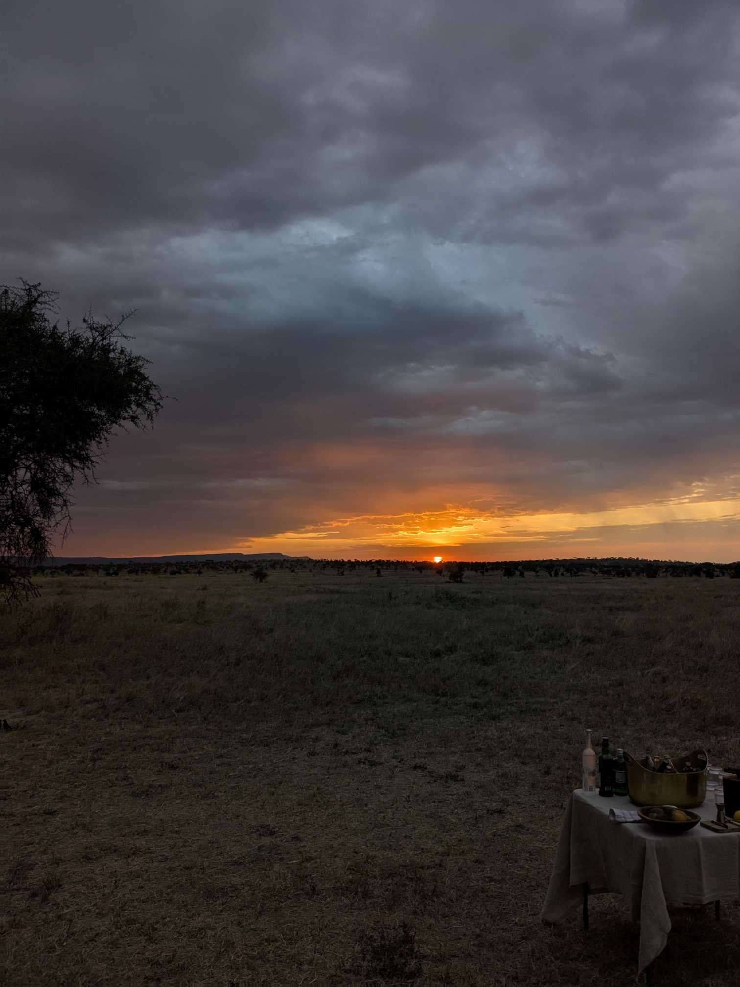 Golden sunset over Serengeti plains